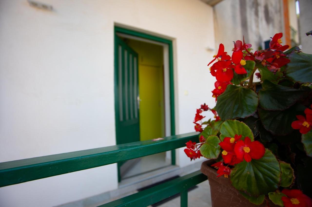 Apartment Nola Podgora Habitación foto